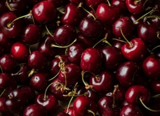Завдяки новим сортам черешні, садівники Херсонщини планують продавати ягоди до кінця липня