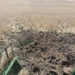 Заміновані поля, пожежі через ворожі обстріли: на Херсонщині тривають жнива
