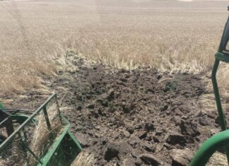 Заміновані поля, пожежі через ворожі обстріли: на Херсонщині тривають жнива