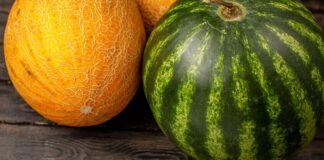 Цьогоріч українці зможуть поласувати херсонськими кавунами та динями
