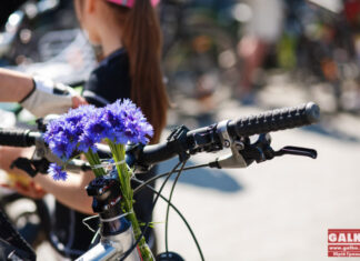 Велопарад дівчат пройде в Івано-Франківську
