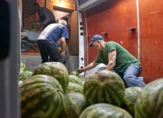 Херсонські кавуни поїхали до Черкащини