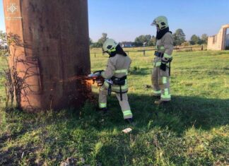 У Волинській області врятували лелек, які провалились у водонапірну вежу