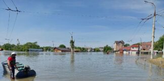 “Бо інакше не можу”: кропивничaнка Кaтеринa Дорош евaкуювалa півтори сотні твaрин із Донбaсу та Херсонщини