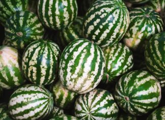 Відомий український шеф-кухар Євген Клопотенко рекламує херсонські кавуни