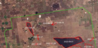 За час окупації на території заповідника «Асканія-Нова» сталось 7 пожеж