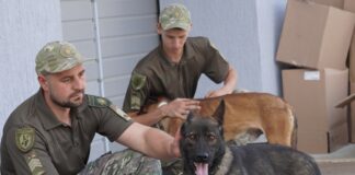 Кінологічному центру херсонської поліції передадуть хвостатих вихованців