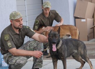 Кінологічному центру херсонської поліції передадуть хвостатих вихованців