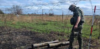 Рівненські поліцейські-кінологи допомагають розміновувати Херсонщину