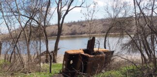 На Херсонщині окупація та ворожі обстріли завдали нацпарку “Кам’янська січ” 5 мільярдів збитків
