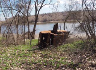 На Херсонщині окупація та ворожі обстріли завдали нацпарку “Кам’янська січ” 5 мільярдів збитків