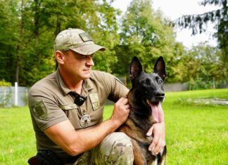 Як чотирилапа Пандора допомагала розміновувати звільнену частину Херсонщини