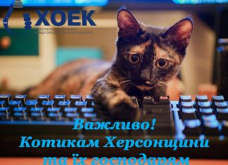 Споживачі “Херсонської обласної енергопостачальної компанії” будуть зі світлом