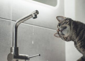 Де у Херсоні не буде води