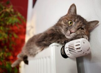 Опалення планують запускати в усіх районах Херсона