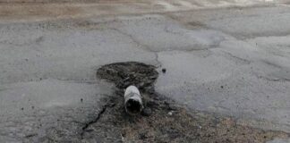 Зооволонтери потрапили під обстріл під час евакуації з Херсонщини