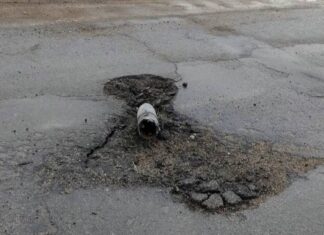 Зооволонтери потрапили під обстріл під час евакуації з Херсонщини