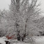 Херсон вкрився сніговою ковдрою (фото)