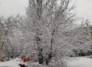 Херсон вкрився сніговою ковдрою (фото)