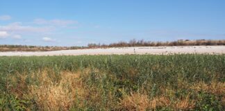 Науковець ХДУ поділився результатами досліджень дна Каховського водосховища