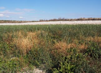 Науковець ХДУ поділився результатами досліджень дна Каховського водосховища