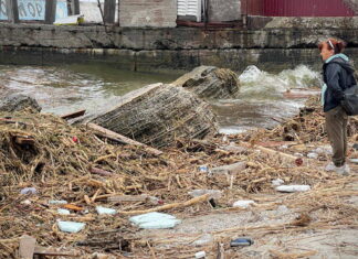 Підрив греблі Каховської ГЕС мав критичні наслідки для морських екосистем