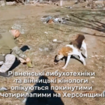 Рівненські вибухотехніки та вінницькі кінологи опікуються покинутими чотирилапими на Херсонщині