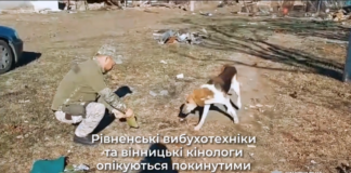 Рівненські вибухотехніки та вінницькі кінологи опікуються покинутими чотирилапими на Херсонщині