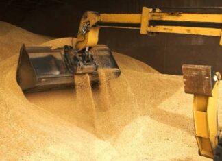 Херсонські аграрії зможуть безкоштовно отримати модульні склади для зберігання врожаю