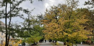У Херсоні на початку листопада зафіксували три температурні рекорди