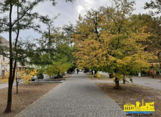 У Херсоні на початку листопада зафіксували три температурні рекорди