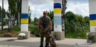 Поліцейська вівчарка, яка допомагала розміновувати Херсонщину, отримала відзнаку “Собака-герой”