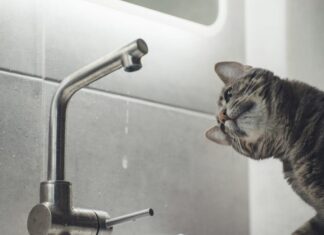 Де у Херсоні завтра не буде води