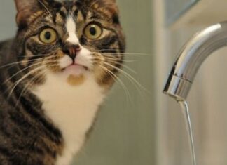 Де в Херсоні завтра не буде води