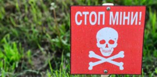 На Херсонщині 81 людина постраждала від вибухонебезпечних предметів