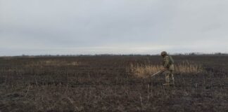 У 2024 році найбільше сільгоспземель планується розмінувати на Херсонщині