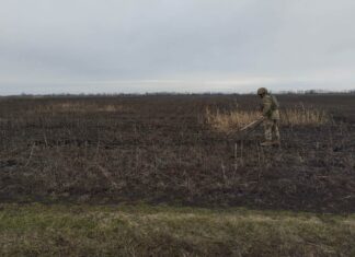 У 2024 році найбільше сільгоспземель планується розмінувати на Херсонщині