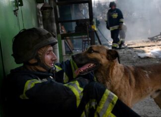 “Завжди залишатися людиною”: херсонський рятувальник Володимир Явтушенко