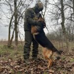 Пес Мухтар з 34-ого Херсонського полку Нацгвардії отримав нагороду за службу