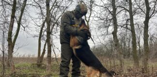Пес Мухтар з 34-ого Херсонського полку Нацгвардії отримав нагороду за службу