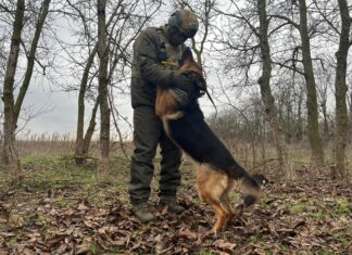 Пес Мухтар з 34-ого Херсонського полку Нацгвардії отримав нагороду за службу