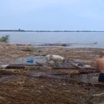 Пес, якого після підриву Каховської ГЕС течією віднесло з Херсона до Одеси, знайшов родину