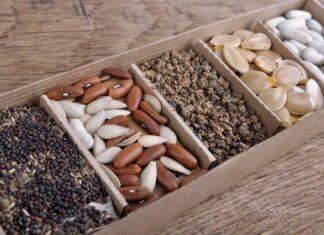 Аграрії Херсонщини можуть безкоштовно отримати овочеве насіння для весняної посівної