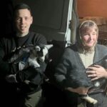 Зооволонтери евакуювали з Херсонщини корів і козенят