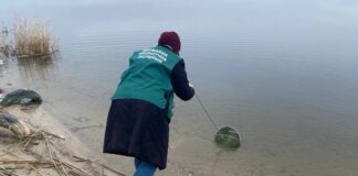 У річці Інгулець поблизу Дар’ївки виявили перевищення норми сульфатів і хлоридів
