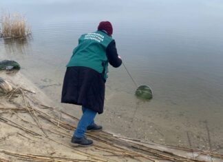 У річці Інгулець поблизу Дар’ївки виявили перевищення норми сульфатів і хлоридів