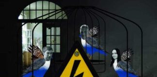У Дніпрі презентують артпроєкт “Будь ласка, звільніть пташок” з історіями двох полонених з Херсонщини
