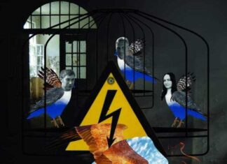 У Дніпрі презентують артпроєкт “Будь ласка, звільніть пташок” з історіями двох полонених з Херсонщини