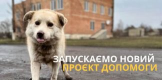 UAnimals запускає проєкт допомоги кормом для тварин Херсонщини
