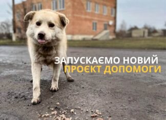 UAnimals запускає проєкт допомоги кормом для тварин Херсонщини